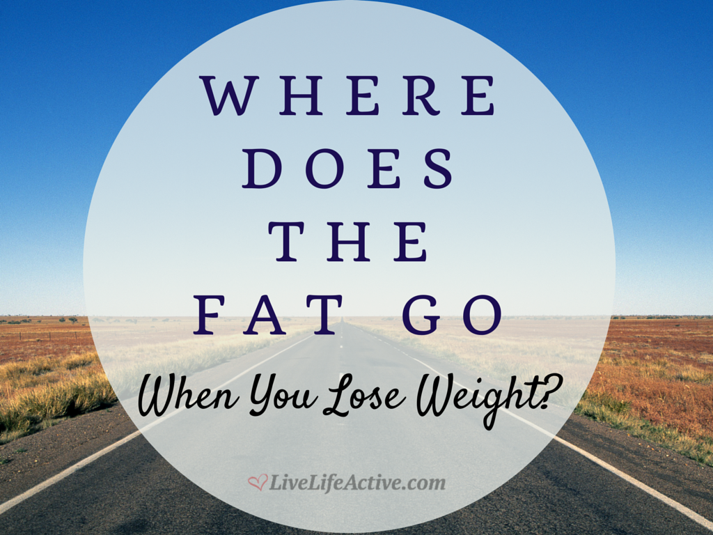 Where does the fat go when you lose weight?