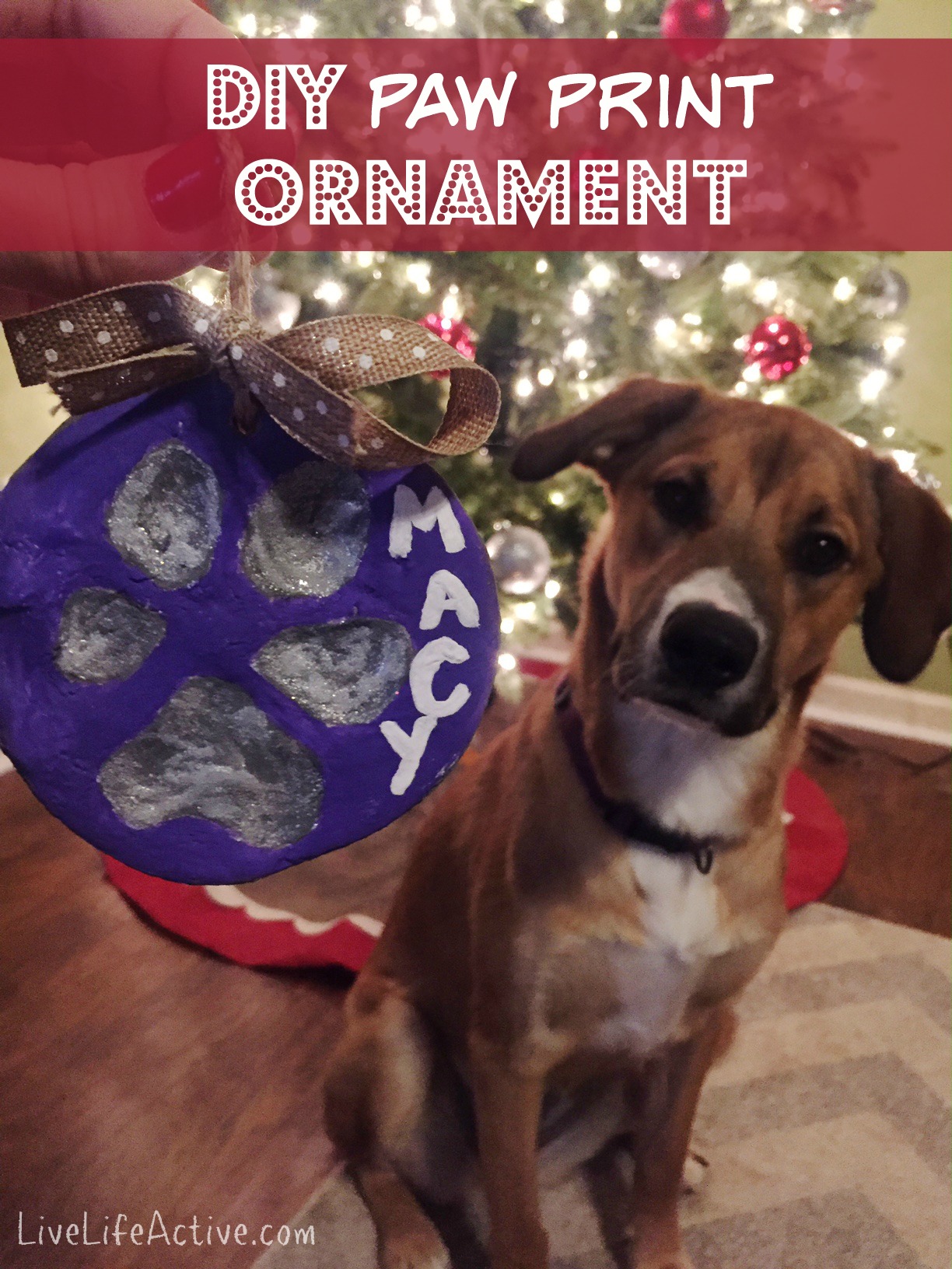 salt dough ornament dog paw print homemade how to